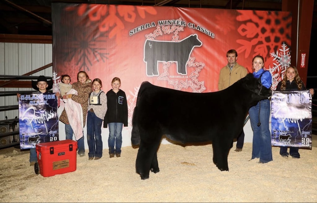 Allison at the Sierra Winter Classic Show.