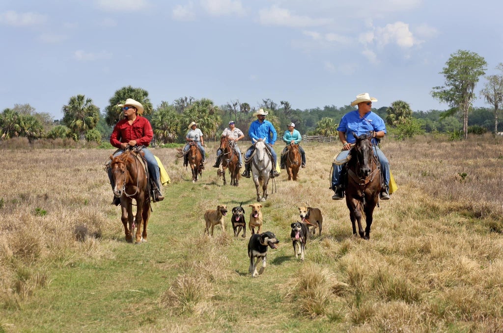 Native Cattle Crew of the Florida Seminole Indian Tribe. Photo by Carlton Ward Jr.