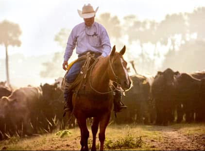 Alex Johns, executive director of agriculture for the Seminole Indian Tribe of Florida.