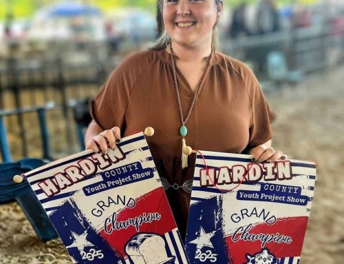 From Flowers to Frosting: Learning by Doing in FFA