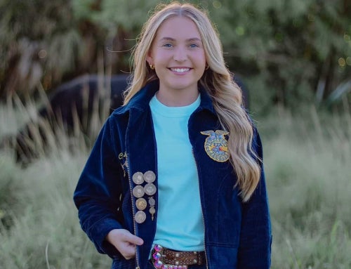 Shining in and out of the Blue Jacket