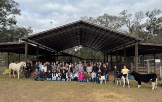 Chiefland FFA members and animals gather at the farm, waiting for Fun Day on the Farm to begin.