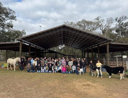 Keeping the Roots, Growing the Branches