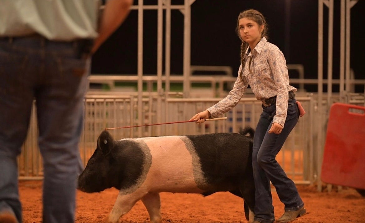 Myla Rives shows off her showmanship skills in the ring with her hog, Nosey.