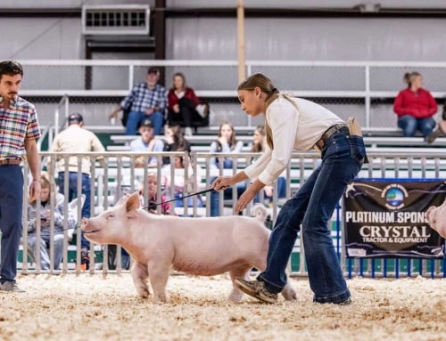 Doing to Learn: Life Skills in the Show Ring