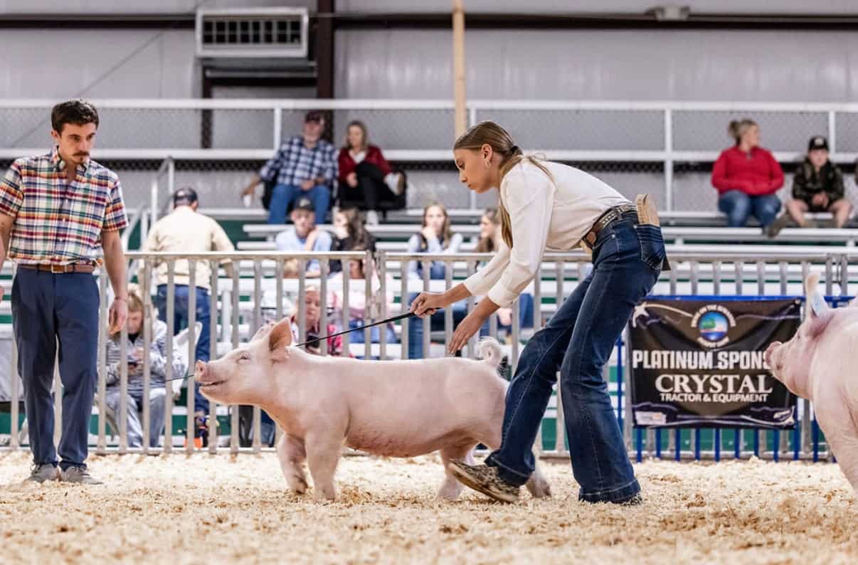McKinley Garret (pictured above) and Myla Rives are learning life skills through livestock.