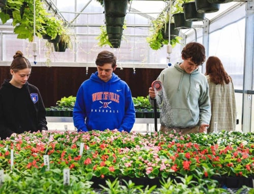 Planting Seeds Beyond the Classroom: Growing Skills Through Experience