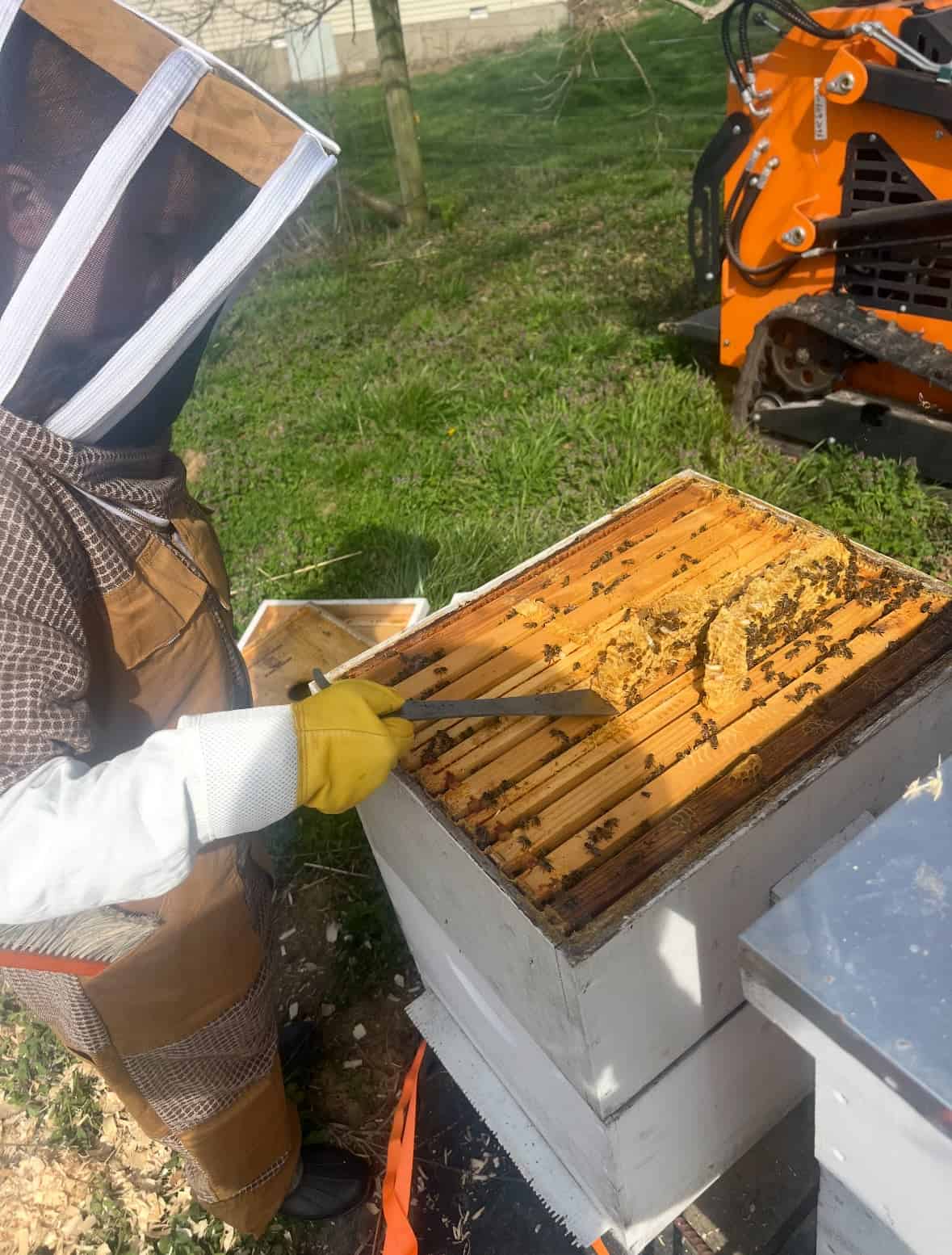 Mallory examining Honeycomb frames