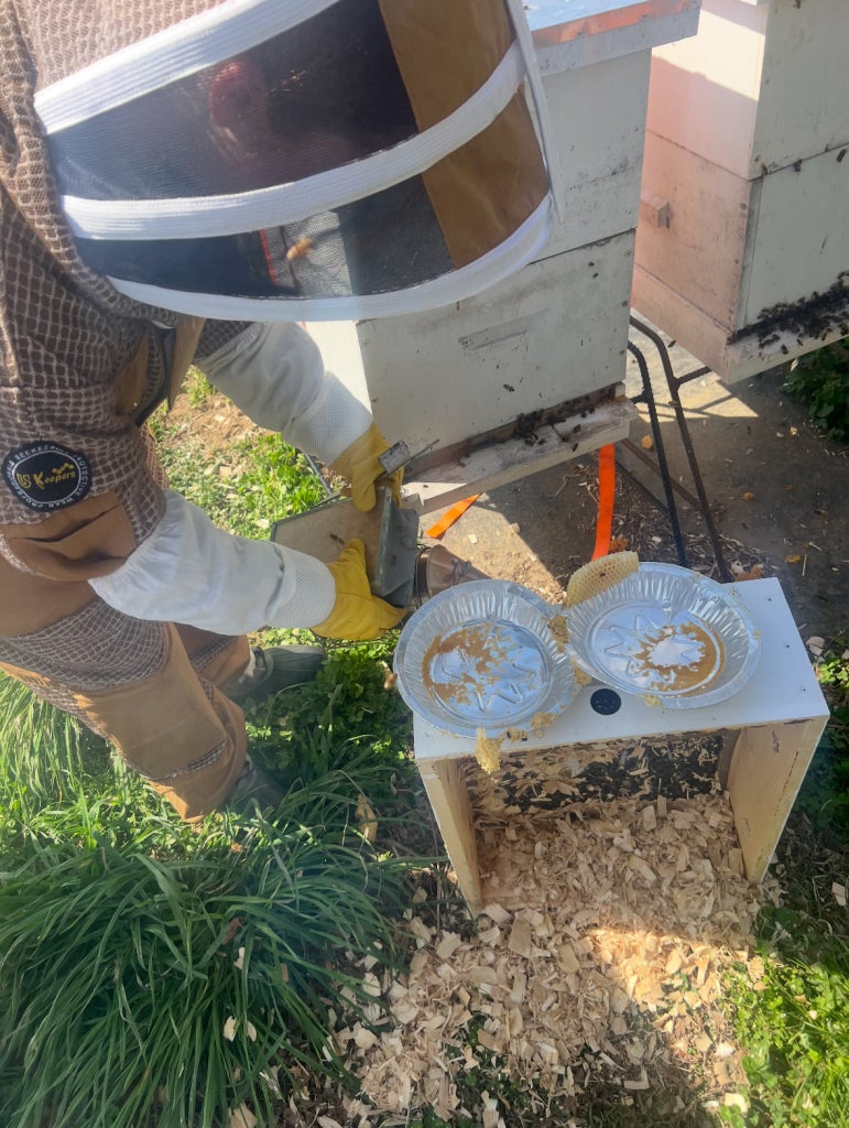 Webb working hands-on within the Meter-Beez Apiary business.