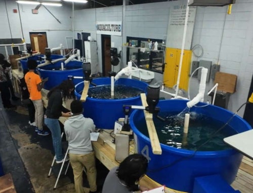 Creativity Meets Opportunity at Moss Point’s Aquaculture Program