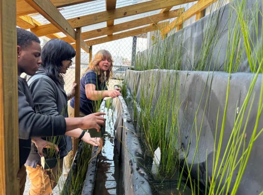 Moss Point’s sustainable aquaponic water system.