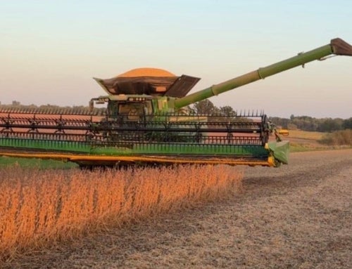 SAEs Help FFA Members by “Doing to Learn”