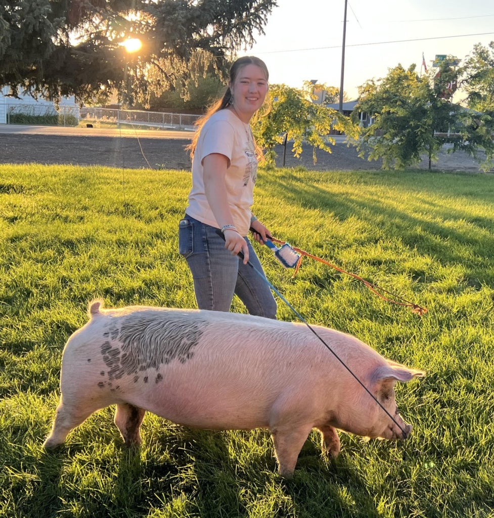 Moore works routinely with her market pigs to prep them for the Canyon County Fair.
