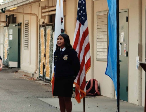 More Than a Role: A Reporter Gives Moments Meaning