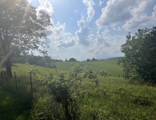 Spring Into Agriculture: What’s Happening Right Now