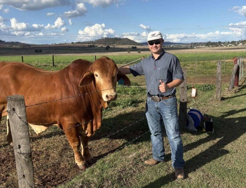 The End of FFA… Or Is It?
