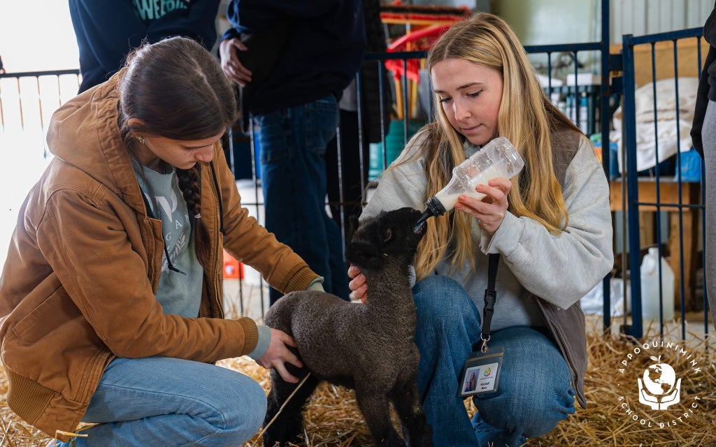 Advisor Kendall Metz and Appoquinimink FFA students raising newborn lambs.