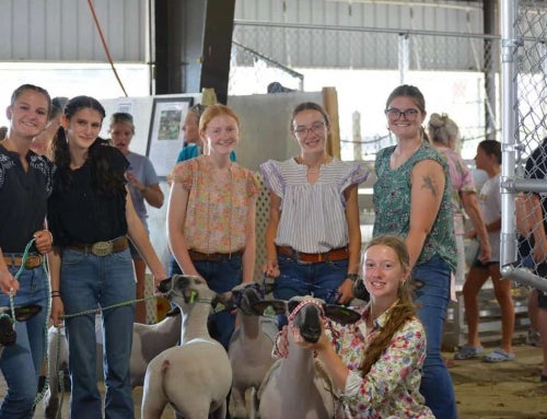 Creating Opportunities: Metz Farm Showmanship Program
