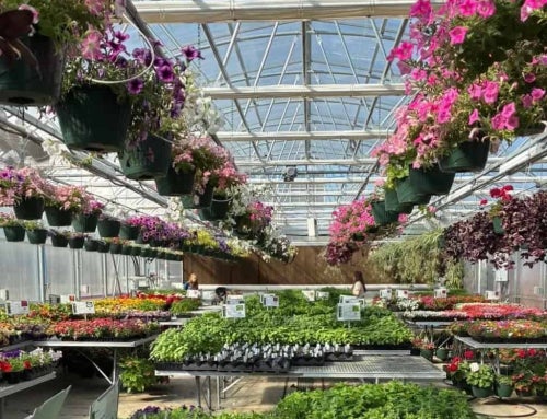 Growing Twice as Nice: WHHS Greenhouse Expansion Blooms With Community Spirit