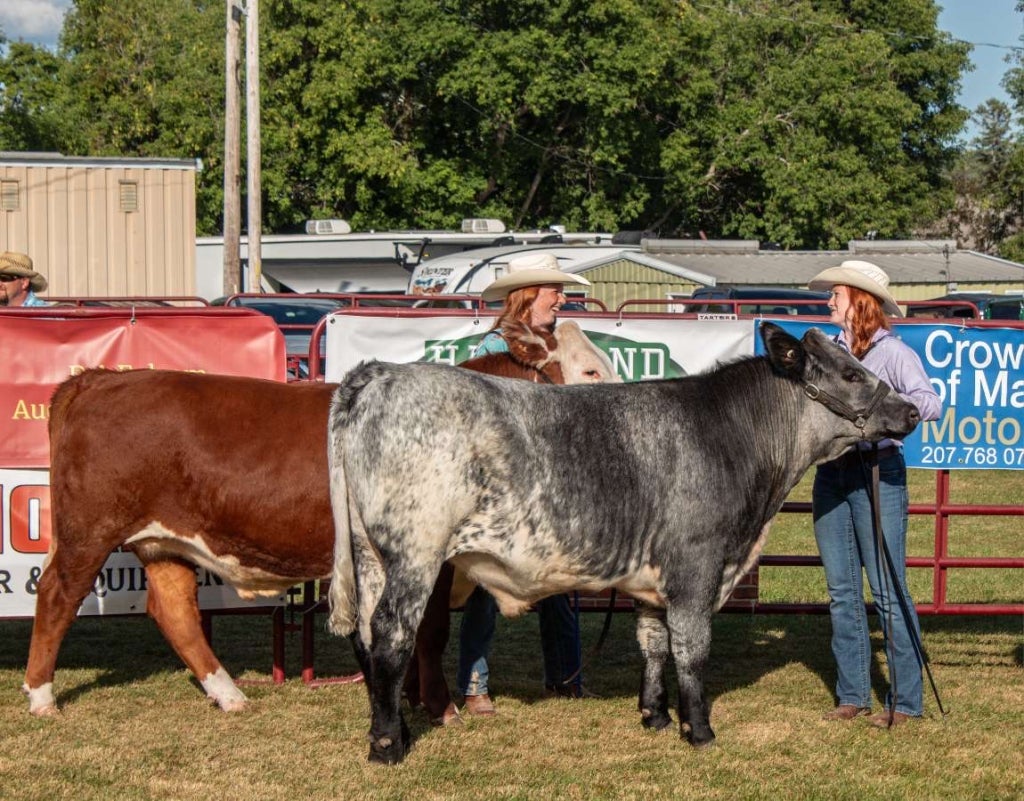 Julia Pierce and Charlie Pierce with their beef cattle.
