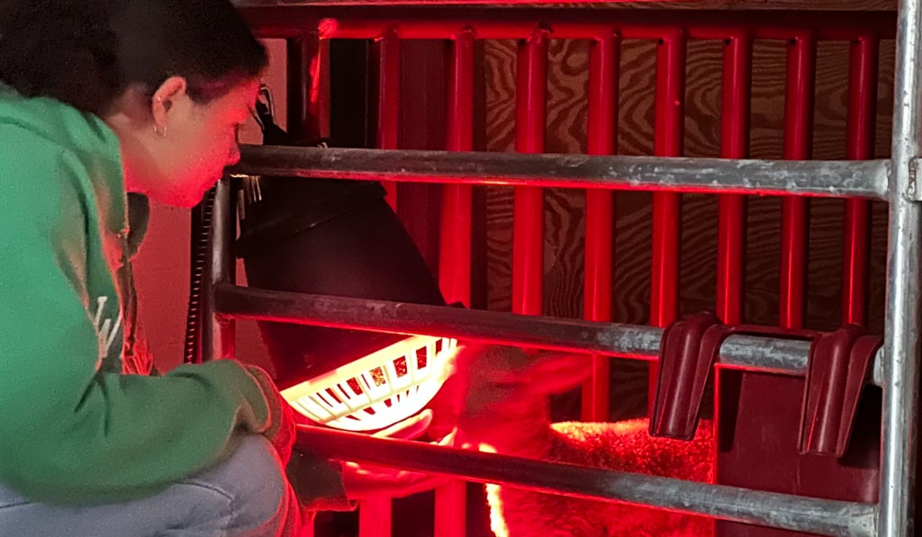 Katrina Shea attending to a newborn.