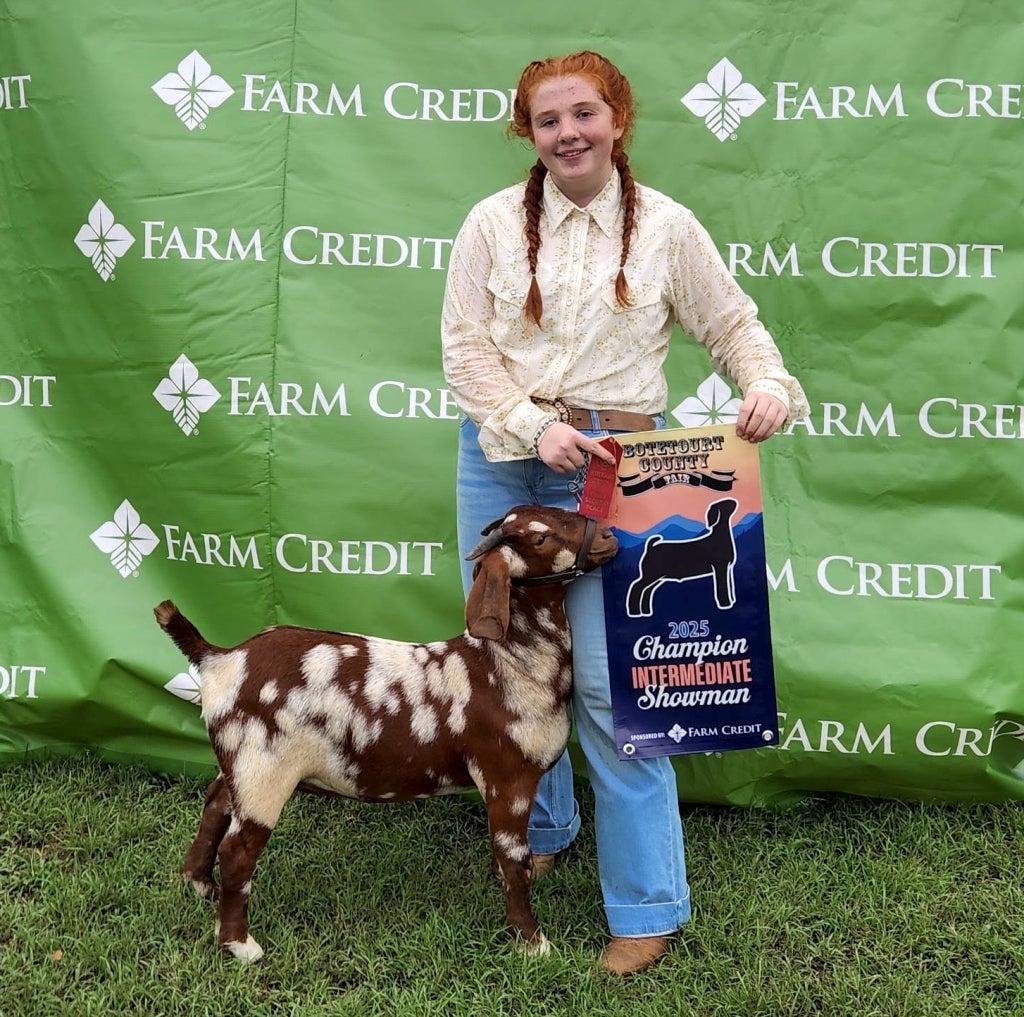 “Ellie,” a Boer show goat.