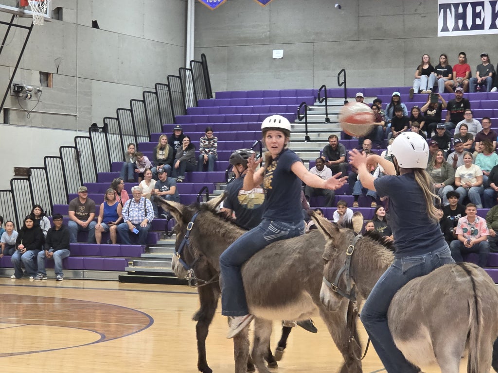 Donkey basketball builds camaraderie between members while encouraging involvement from students who may not normally participate in chapter events.