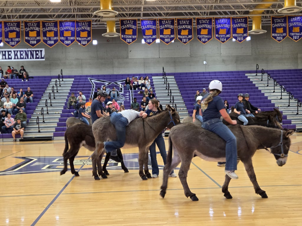 Donkey basketball is an incredible way to increase chapter engagement and visibility.