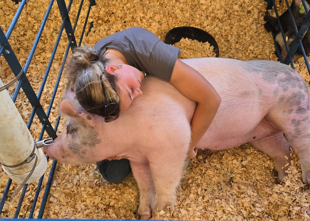 Spending time with my pig, Barbie, at the Rockingham County Fair before sale day.