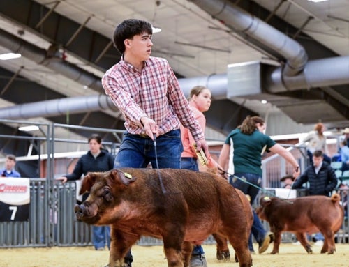 How FFA Has Changed My Life