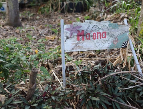 From Waste to Growth, and From Growth to Giving