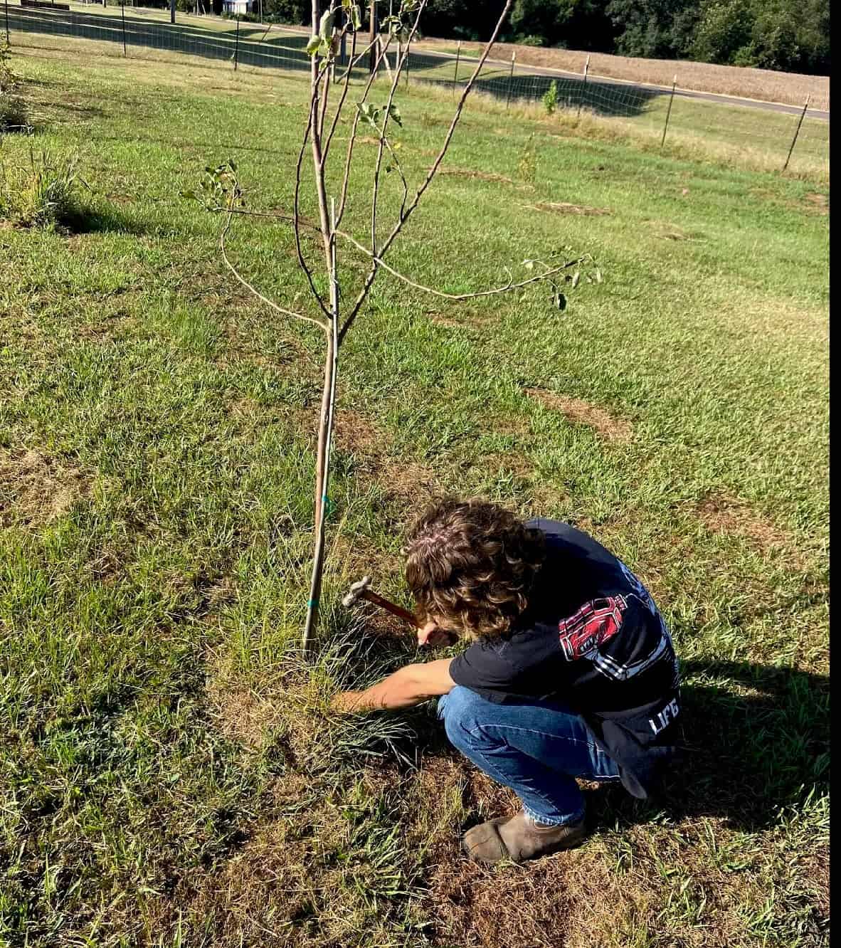 Patience and understanding are learned with the planting and care of the orchards. Students are taught how to give special attention to these plants.