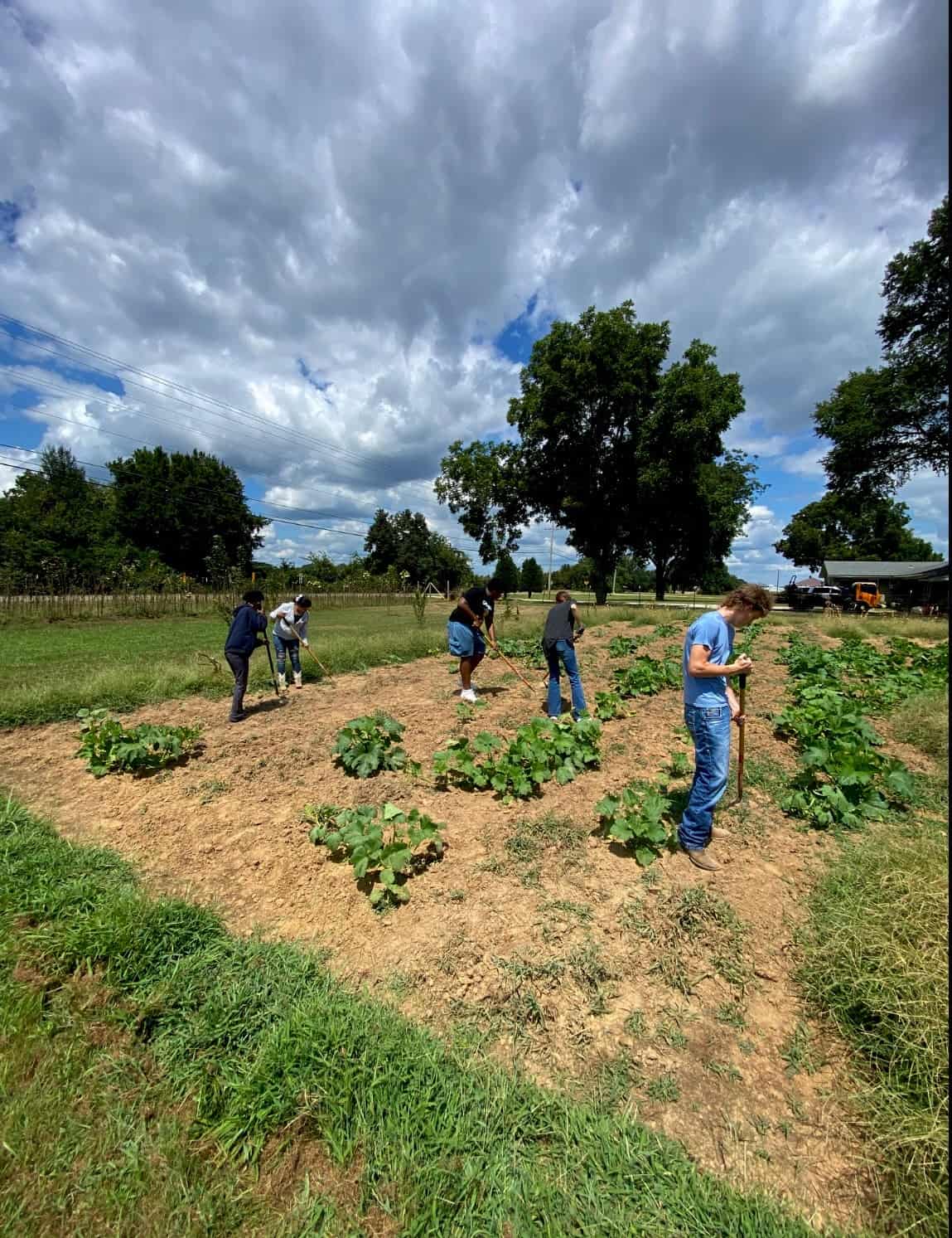 Students keeping up with the care of the summer garden.