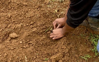Agriculture students at Benton County are developing the skills that sets them up for success in and out of the farm.