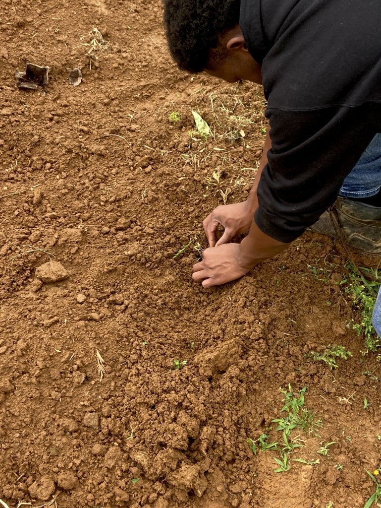 Agriculture students at Benton County are developing the skills that set them up for success, in and out of the farm.