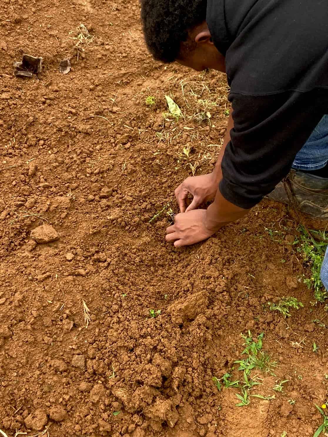 Agriculture students at Benton County are developing the skills that sets them up for success in and out of the farm.