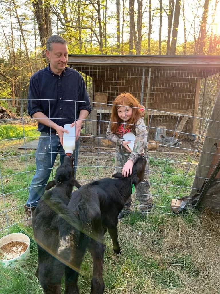 Bottle feeding Buttercup and Milkshake.