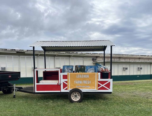 A Farm Stand Built to Sell