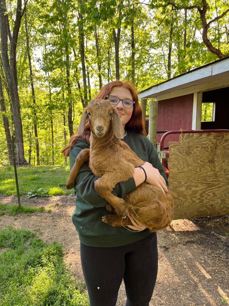 “Zinnia,” a Boer bottle goat.