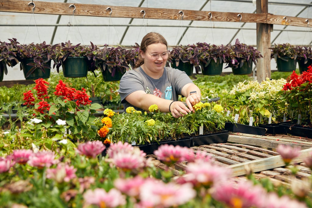FFA Student Caring for Flowers in Greenhouse