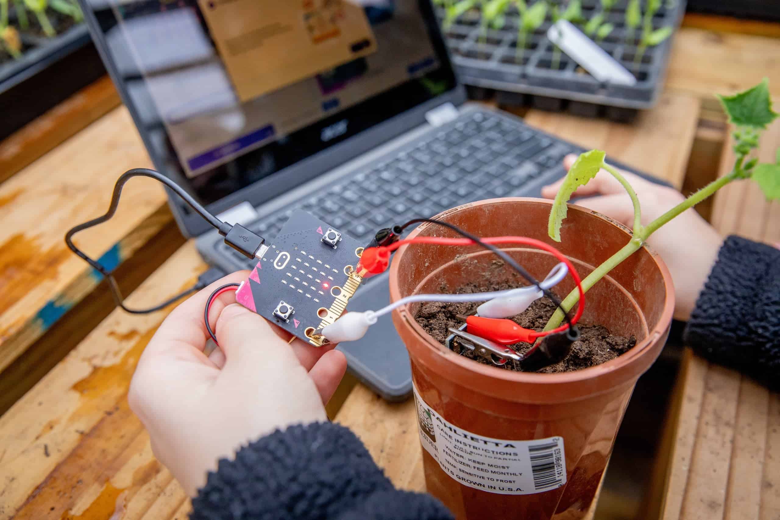 Student demonstrates plant sensor technology